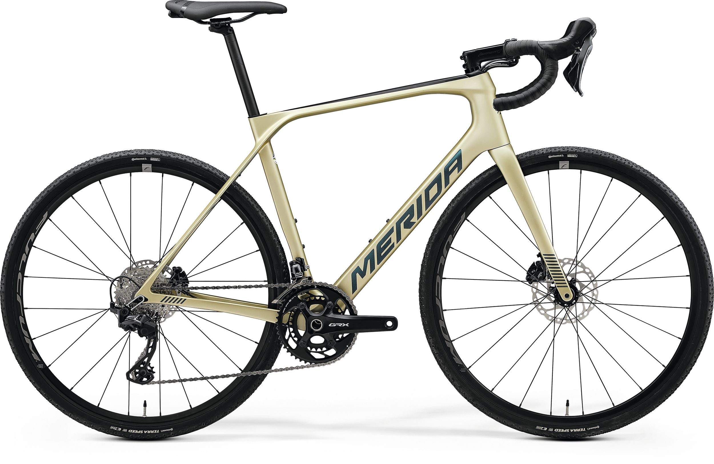 Merida Scultura Endurance GR 5000 2024 champagner XL