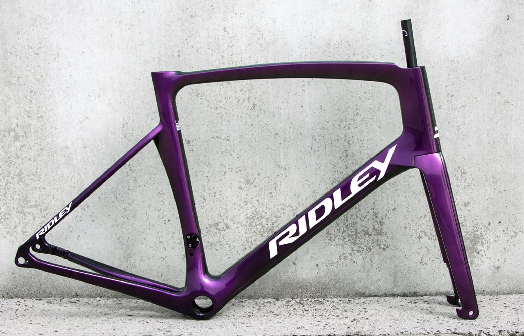 Ridley Noah Fast Disc Rahmenkit 2023 chameleon L