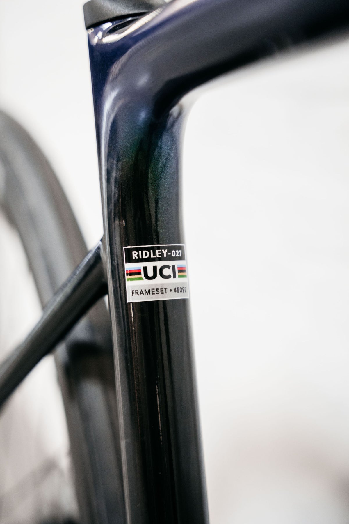Ridley Falcn 105 (2x12) UD carbon/dark green XL